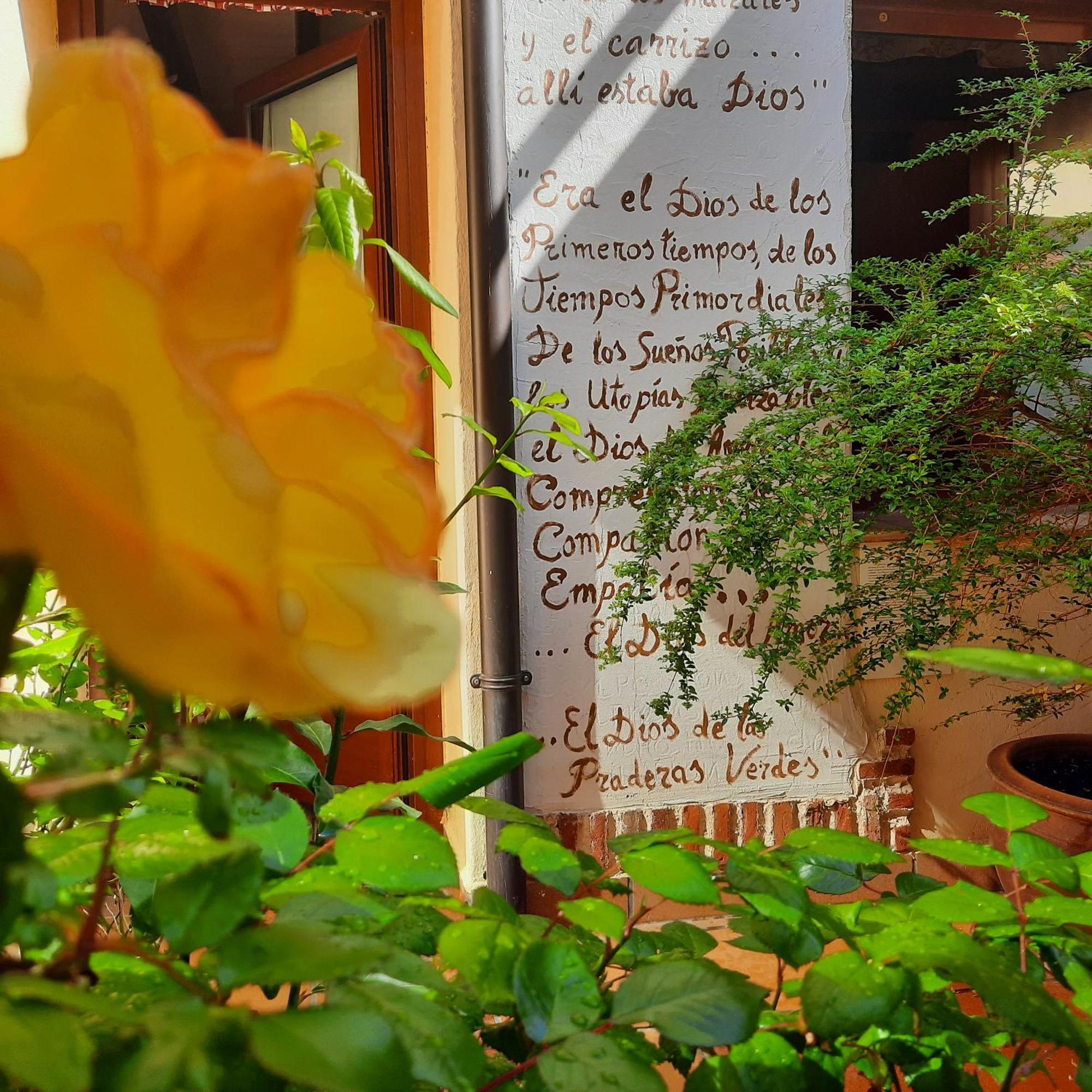 Beautiful Alamedas - Una Casa Rural Con Una Historia Unica Castronuno Zewnętrze zdjęcie