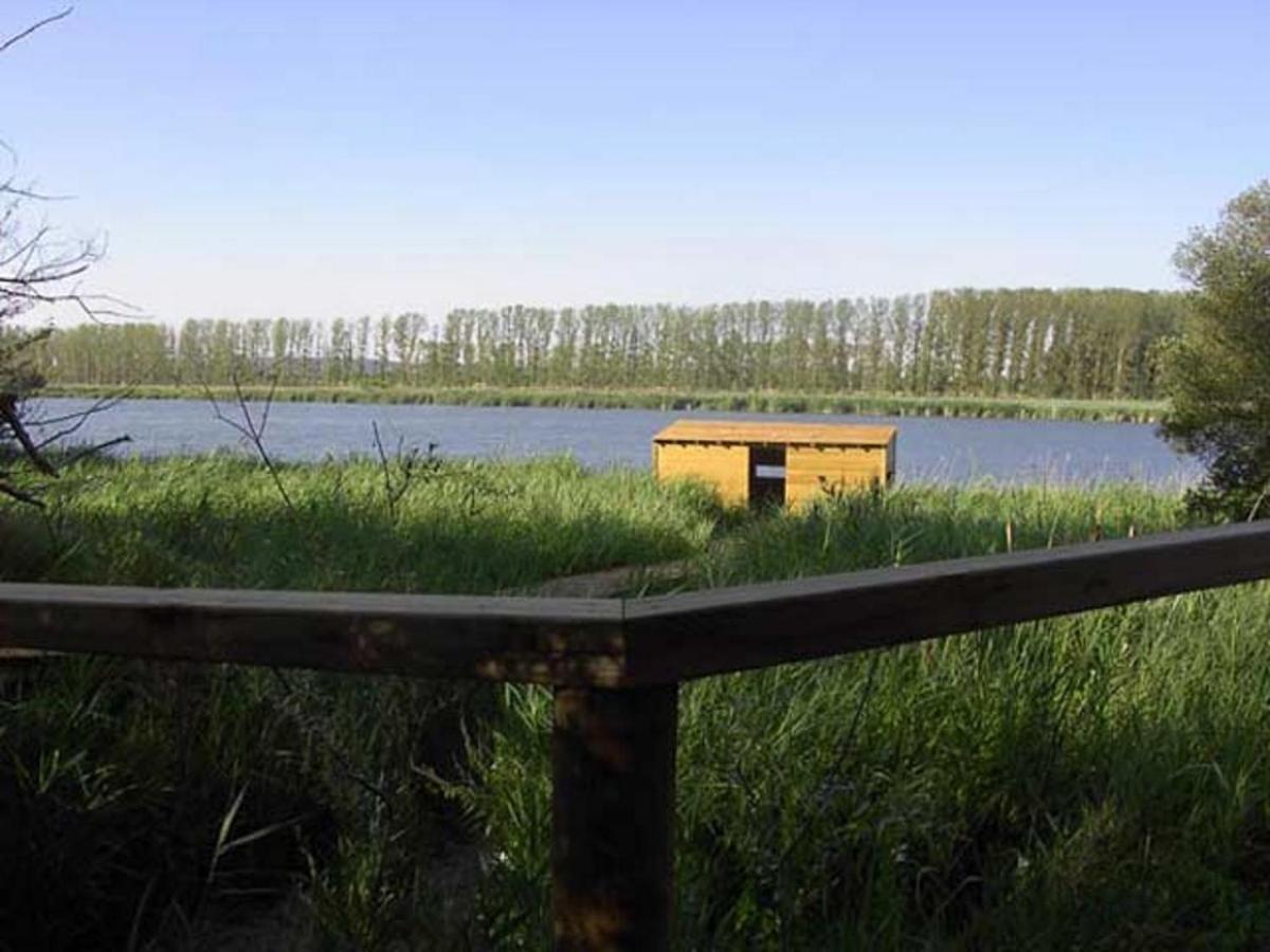 Beautiful Alamedas - Una Casa Rural Con Una Historia Unica Castronuno Zewnętrze zdjęcie