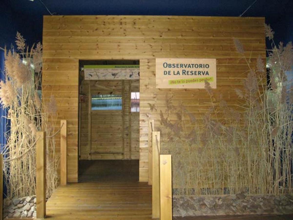 Beautiful Alamedas - Una Casa Rural Con Una Historia Unica Castronuno Zewnętrze zdjęcie