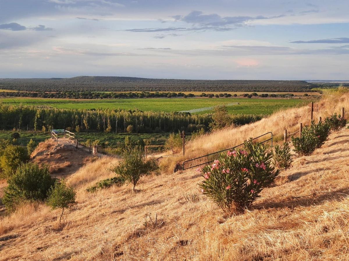 Beautiful Alamedas - Una Casa Rural Con Una Historia Unica Castronuno Zewnętrze zdjęcie
