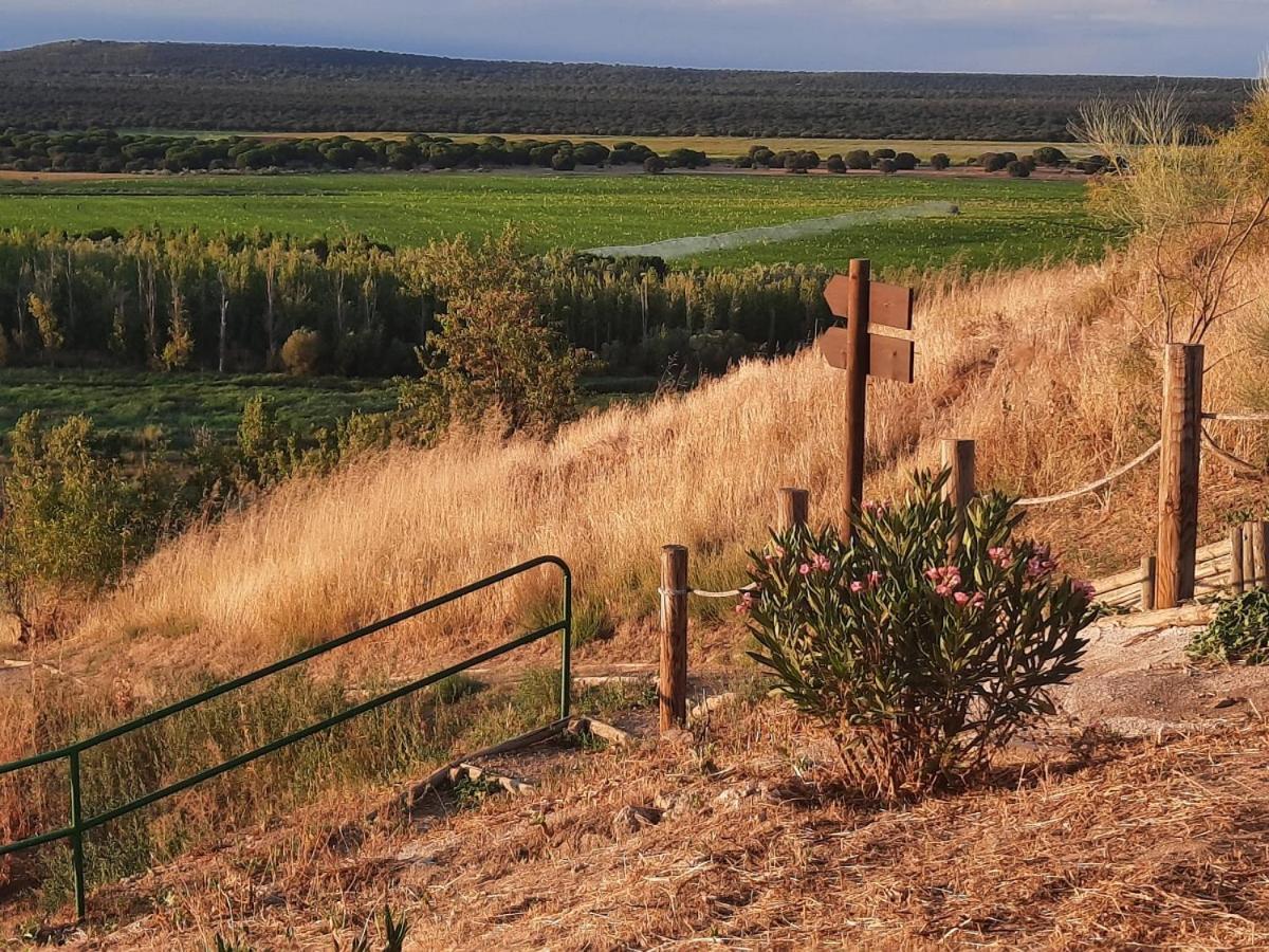 Beautiful Alamedas - Una Casa Rural Con Una Historia Unica Castronuno Zewnętrze zdjęcie